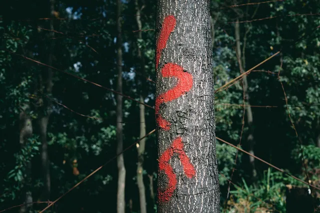 The Digital Authoritarian