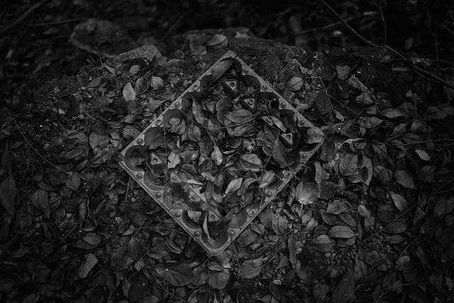 Forgotten Grave