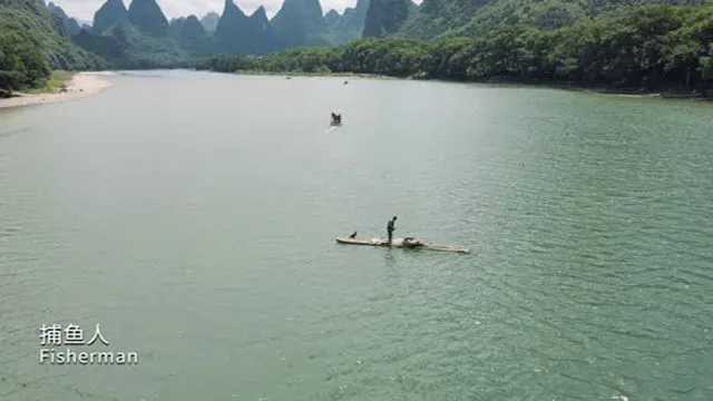 Cormorant Fisherman